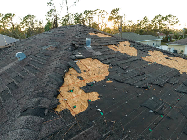 Best Gutter Installation and Repair  in Brimfield, OH