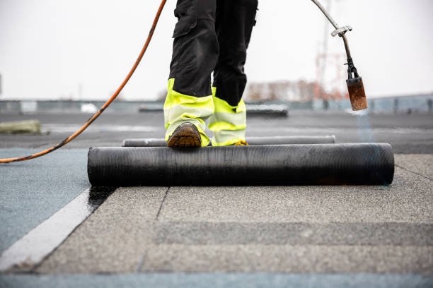 Best Asphalt Shingles Roofing  in Brimfield, OH